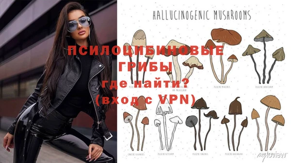эйфоретик Белоозёрский