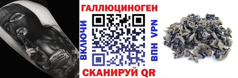 Псилоцибиновые грибы прущие грибы  Ермолино 